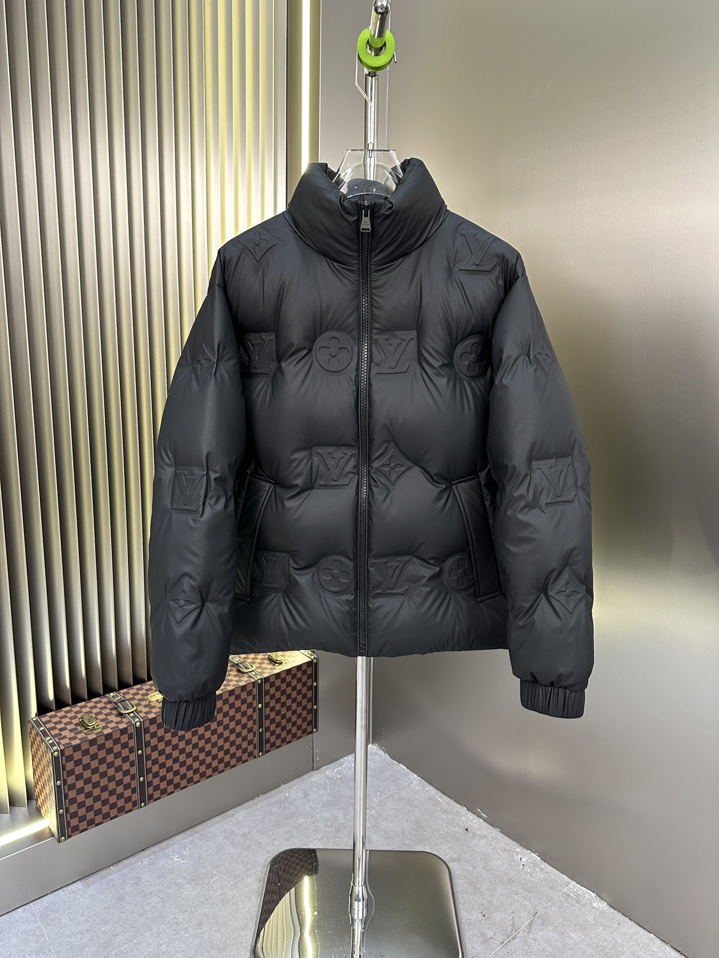 Louis Vuitton Down Jackets